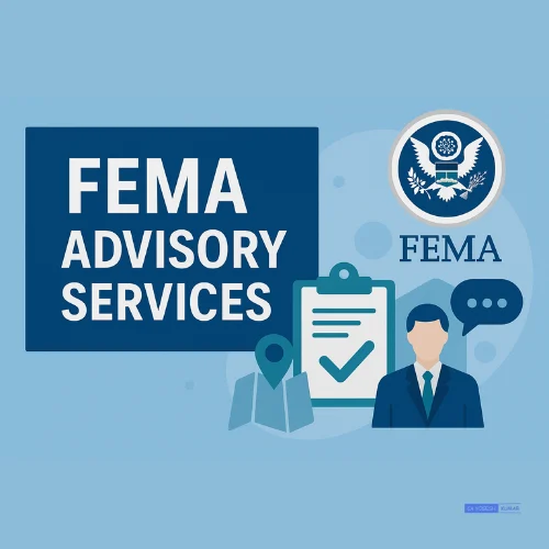 fema advisory services